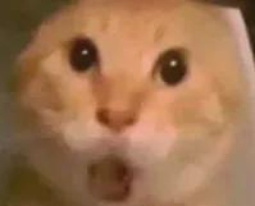 NBA免费直播-失准了！NBA现象级新秀！东契奇有望登顶三分王